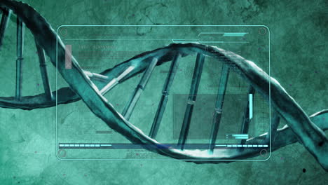 Animation-Des-DNA-Strangs-Und-Der-Datenverarbeitung-Auf-Dem-Bildschirm