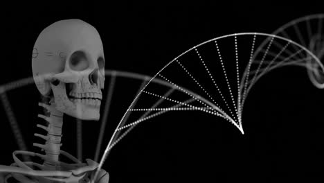 Animation-Eines-Skeletts-über-Einem-DNA-Strang