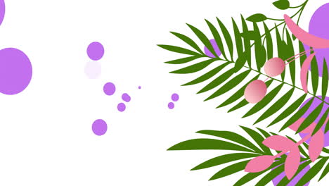 Animation-of-purple-spots-and-leaves-on-white-background