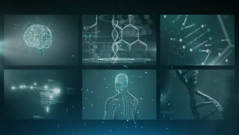 Animation-of-scientific-data-processing-over-screens-on-black-background