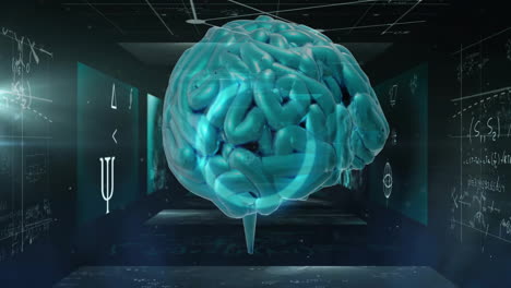 Animation-Des-Menschlichen-Gehirns-Und-Der-Datenverarbeitung