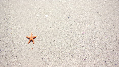 A-lone-orange-starfish-rests-on-a-sandy-beach,-creating-a-serene-tableau-with-copy-space