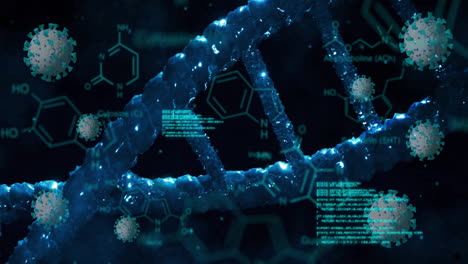 Animation-of-viruses-and-data-processing-over-dna-on-black-background