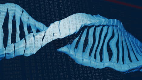 Animation-Eines-DNA-Strangs-über-Der-Verarbeitung-Von-Daten-Auf-Dunklem-Hintergrund