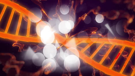 Animation-Eines-DNA-Strangs,-Der-Sich-Vor-Dunklem-Hintergrund-Dreht