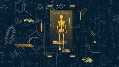 Animation-of-science-equations-and-skeleton-walking-on-blue-background