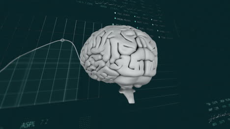 Animation-Des-Menschlichen-Gehirns-Und-Der-Datenverarbeitung-Auf-Schwarzem-Hintergrund