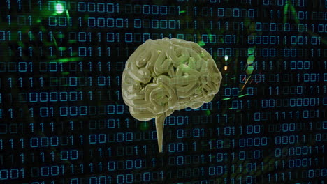 Animation-of-human-brain-and-binary-coding-data-processing-over-computer-servers