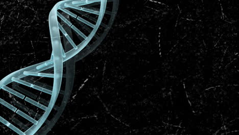 Animation-Eines-DNA-Strangs,-Der-über-Netzwerken-Auf-Schwarzem-Hintergrund-Rotiert