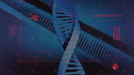 Animation-of-scanner-and-red-charts-processing-data-over-dna-on-dark-background