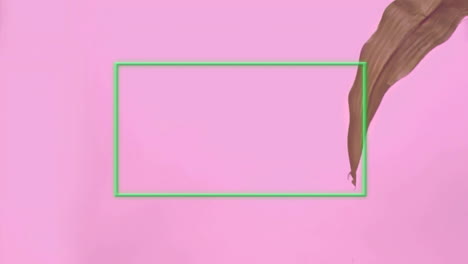 Animation-of-neon-frame-over-leaf