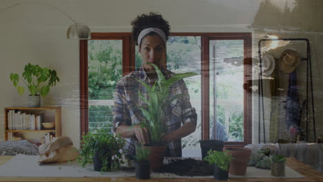 Animation-of-landscape-over-biracial-woman-nurturing-plant-at-home