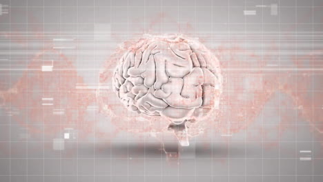 Animation-Von-Interferenzen-über-Digitalem-Gehirn-Und-DNA-Strang-Auf-Weißem-Hintergrund