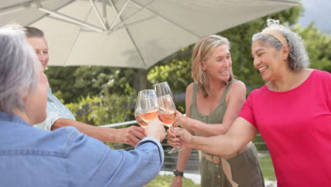 Senior-diverse-group-of-women-toast-with-wine-outdoors