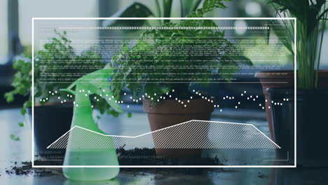 Animation-of-data-processing-over-plants-in-pots-in-row-at-home