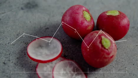 Animation-of-data-processing-on-diagrams-over-cut-radish