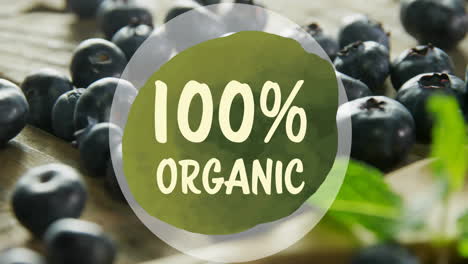 Animation-of-100-percent-organic-text-over-blueberries