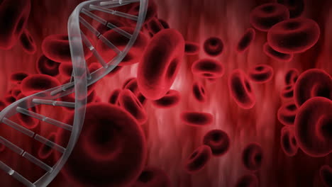 Animation-Eines-DNA-Strangs-über-Schwebenden-Blutkörperchen