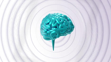 Animation-Eines-Rotierenden-Blauen-Gehirns-über-Konzentrischen-Rotierenden-Grauen-Ringen