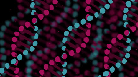 Animation-Bewegter-Blauer-Und-Roter-DNA-Stränge-Auf-Schwarzem-Hintergrund