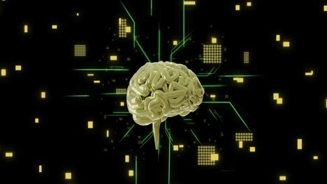 Animation-of-ai-brain-and-data-processing-over-circuit-board-background