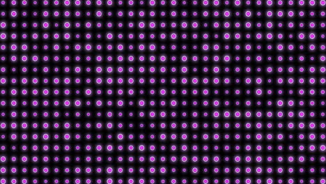 Animation-of-pink-spots-moving-on-black-background