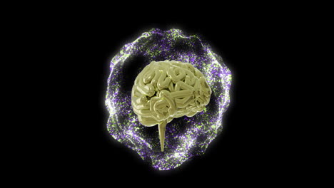 Animation-of-ai-brain,-globe-with-connections-and-data-processing-over-black-background