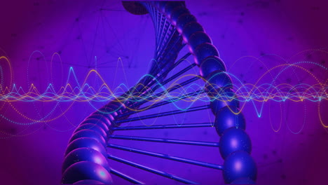 Animation-Des-DNA-Strangs-Und-Der-Datenverarbeitung