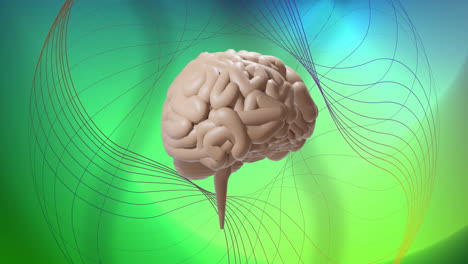 Animation-of-rotating-brain-over-3d-network-structure-on-soft-green-background