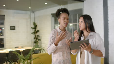 Young-African-American-woman-discusses-with-biracial-woman-in-a-business-office