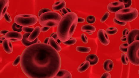 Animation-Von-Blutzellen-über-Zellen-Auf-Rotem-Hintergrund