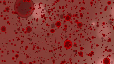 Animation-of-blood-cells-and-light-spots-on-pink-background