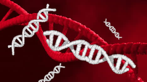 Animation-Von-DNA-Strängen,-Die-Sich-über-Einem-Roten-Hintergrund-Drehen