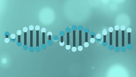 Animation-of-dna-strand-and-light-spots-on-black-background