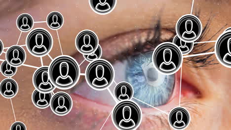 Animation-of-people-icons-and-connections-over-close-up-of-woman's-eye