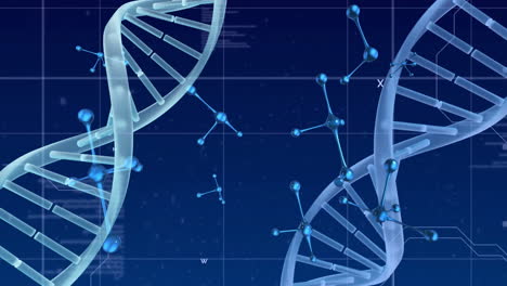 Animation-Von-DNA-Strängen-Und-Molekülen-über-Der-Datenverarbeitung-Auf-Blauem-Hintergrund