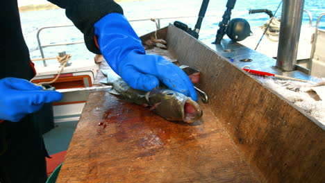 Fisherman-filleting-fish