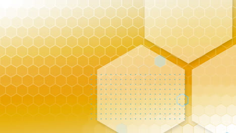 Animation-of-yellow-hive-on-yellow-background