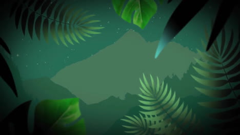 Animation-Von-Wassertropfen-über-Grünen-Blättern,-Die-Einen-Grünen-Hintergrund-Einrahmen
