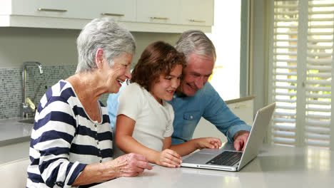 Älteres-Paar-Mit-Einem-Laptop