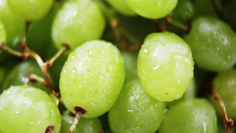 Full-frame-of-grapes