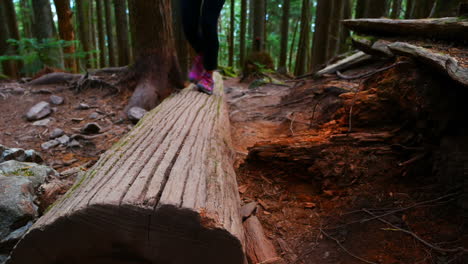Female-hiker-walking-on-fallen-tree