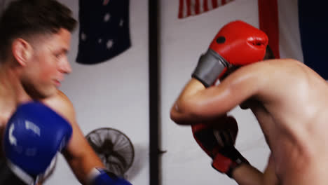 Two-boxers-practicing-in-boxing-ring