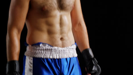 Boxer-standing-against-black-background
