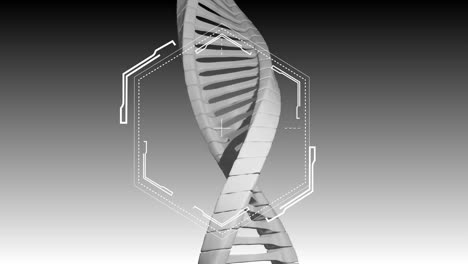Animation-Von-Formen-über-DNA-Strang-Auf-Grauem-Hintergrund