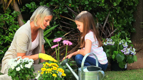 Young-mother-doing-some-gardening-with-daughter