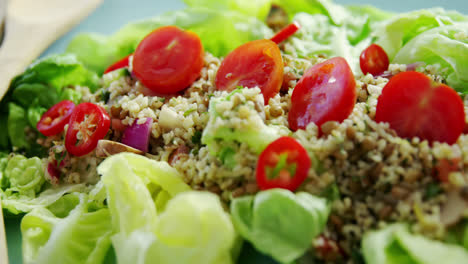 Salad-served-on-plate