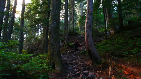 Female-hiker-walking-in-forest-path