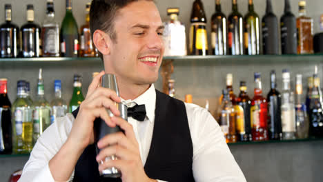 Bartender-mixing-a-cocktail-in-a-shaker