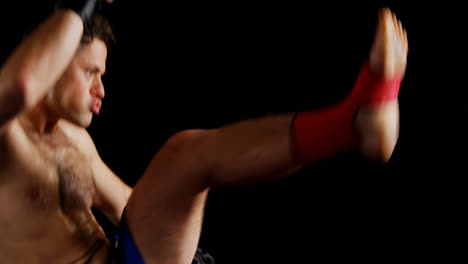 Boxer,-Der-Eine-Boxhaltung-Ausführt
